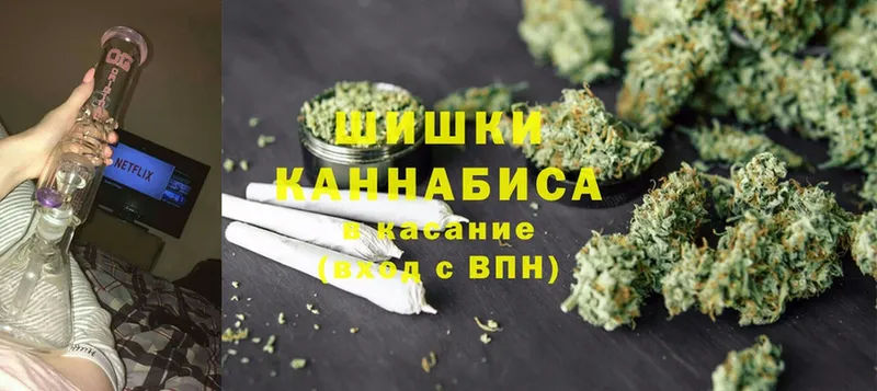 Каннабис OG Kush  дарнет шоп  Зеленоградск 